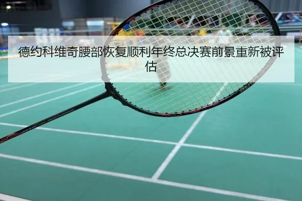 德约科维奇腰部恢复顺利年终总决赛前景重新被评估